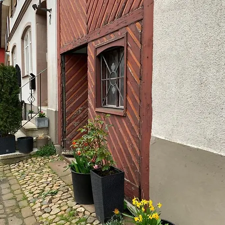 Barocke Stadtvilla Ophelia Nahe Europapark 45Qm 1,5 Zi Studio Ettenheim Exterior photo