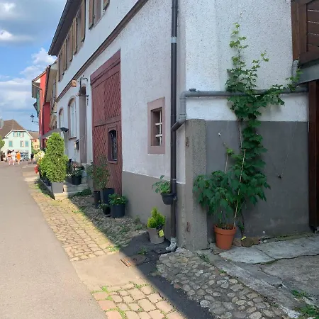 Barocke Stadtvilla Ophelia Nahe Europapark 45Qm 1,5 Zi Studio Ettenheim Exterior photo